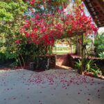 IMG-20240820-WA0265