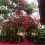 IMG-20240826-WA0301
