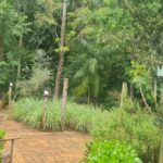 WhatsApp Image 2025-09-16 at 10.50.55 (1)