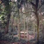 WhatsApp Image 2025-09-16 at 10.51.00 (1)