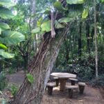 WhatsApp Image 2025-09-16 at 10.51.00 (2)