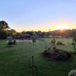 WhatsApp Image 2025-09-16 at 10.51.02 (1)