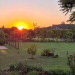 WhatsApp Image 2025-09-16 at 10.51.02