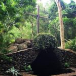 WhatsApp Image 2025-09-16 at 10.51.03 (1)