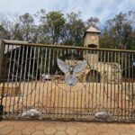 WhatsApp Image 2025-09-16 at 13.23.52 (1)