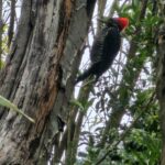 WhatsApp Image 2025-09-16 at 13.23.55