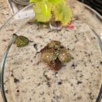 WhatsApp Image 2025-09-16 at 13.24.18