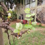 WhatsApp Image 2025-09-16 at 13.24.19 (3)