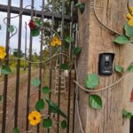 WhatsApp Image 2025-09-16 at 13.24.20 (3)