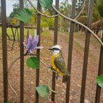 WhatsApp Image 2025-09-16 at 13.24.21 (2)