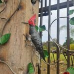 WhatsApp Image 2025-09-16 at 13.24.21 (3)