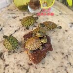 WhatsApp Image 2025-09-16 at 13.24.22