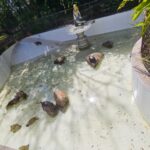 WhatsApp Image 2025-09-16 at 13.24.22 (2)