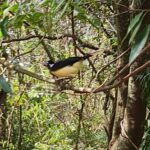 WhatsApp Image 2025-09-16 at 13.24.22 (3)