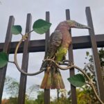 WhatsApp Image 2025-09-16 at 13.24.23 (1)