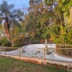 WhatsApp Image 2025-09-16 at 13.24.23