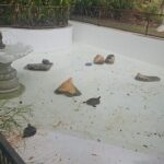 WhatsApp Image 2025-09-16 at 13.24.23 (2)