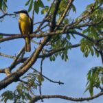 WhatsApp Image 2025-09-16 at 13.24.23 (3)