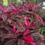 WhatsApp Image 2025-09-16 at 13.24.24