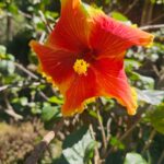 WhatsApp Image 2025-09-16 at 13.24.24 (2)