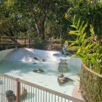 WhatsApp Image 2025-09-16 at 13.24.24 (3)