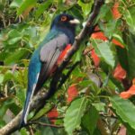 WhatsApp Image 2025-09-16 at 13.24.24 (4)