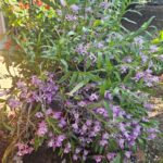 WhatsApp Image 2025-09-16 at 13.24.25 (1)