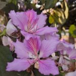 WhatsApp Image 2025-09-16 at 13.24.25