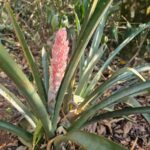 WhatsApp Image 2025-09-16 at 13.24.25 (2)