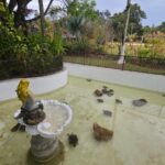 WhatsApp Image 2025-09-16 at 13.24.25 (3)