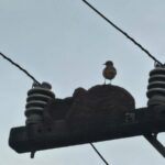 WhatsApp Image 2025-09-16 at 13.24.26