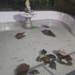 WhatsApp Image 2025-09-16 at 13.24.28 (1)