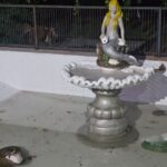 WhatsApp Image 2025-09-16 at 13.24.28