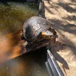 WhatsApp Image 2025-09-16 at 13.24.29 (1)