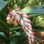 WhatsApp Image 2025-09-16 at 13.24.29