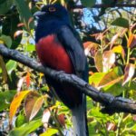 WhatsApp Image 2025-09-16 at 13.24.29 (2)