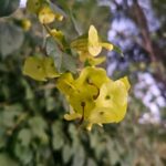 WhatsApp Image 2025-09-16 at 13.24.29 (3)