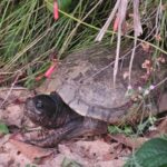 WhatsApp Image 2025-09-16 at 13.24.30 (1)