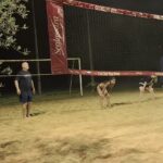 WhatsApp Image 2025-09-16 at 13.24.31 (2)