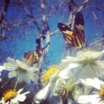 WhatsApp Image 2025-09-16 at 13.24.32 (2)