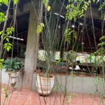 WhatsApp Image 2025-09-16 at 13.24.33 (2)