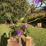 WhatsApp Image 2025-09-16 at 13.24.34 (1)