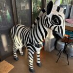 WhatsApp Image 2025-09-16 at 13.24.34 (3)