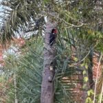 WhatsApp Image 2025-09-16 at 13.24.35 (1)