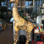 WhatsApp Image 2025-09-16 at 13.24.35