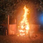 WhatsApp Image 2025-09-16 at 13.24.35 (4)