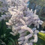 WhatsApp Image 2025-09-16 at 13.24.36