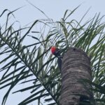 WhatsApp Image 2025-09-16 at 13.24.37