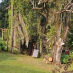 WhatsApp Image 2025-09-16 at 13.24.37 (2)