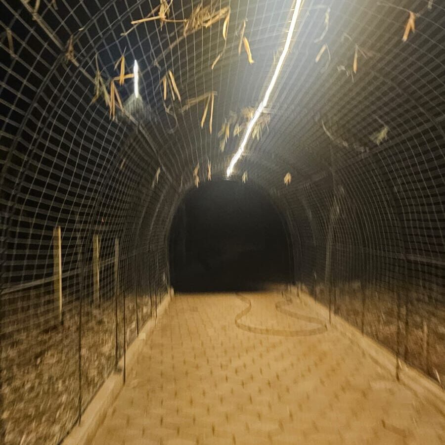 WhatsApp Image 2025-09-16 at 13.24.30 (3) – Copia